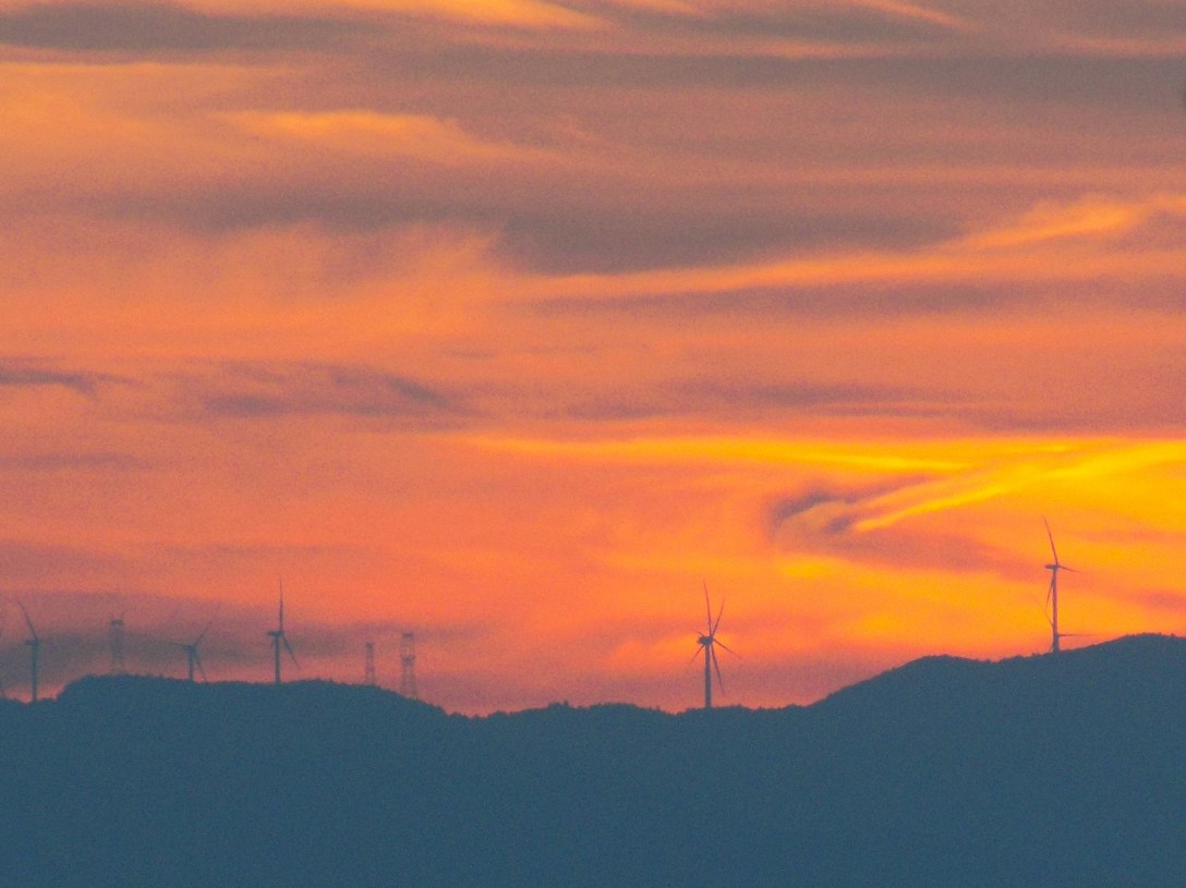 Windmills at Sunrise