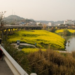 Yangtze/长江 to Yellow/黄河: 15 Photos from the Road