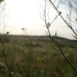 Quiet Activism: Cycling the Globe in Search of Climate Stories