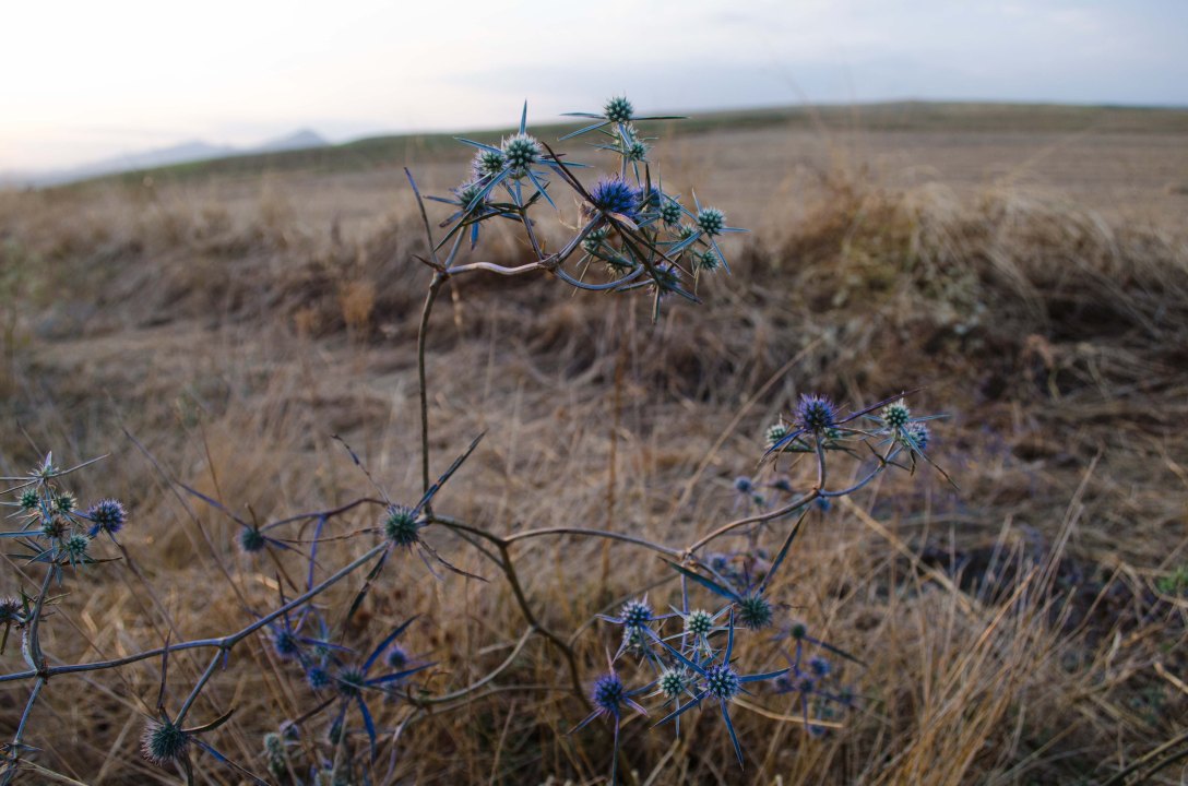 Baku to Tbilisi (12 of 30)