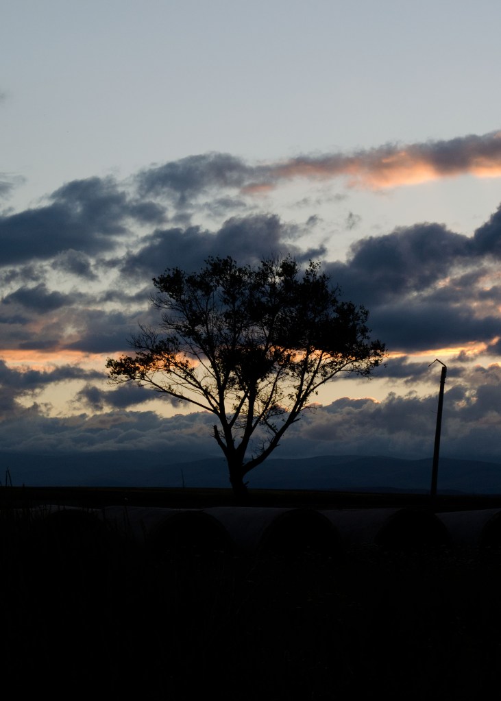 Tbilisi to Turkey (20 of 20)