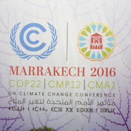 COP22: Marrakech Reflections