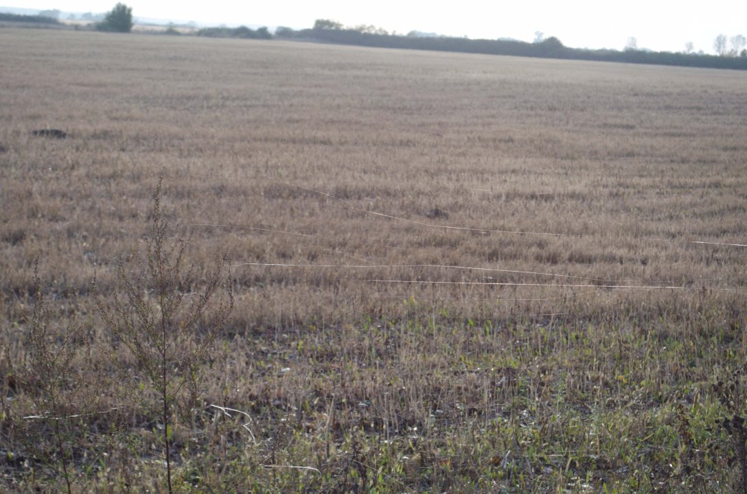 copenhagen-to-marrakech-19-of-22