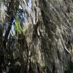 Home Again? 13 Photos from the Southeastern US