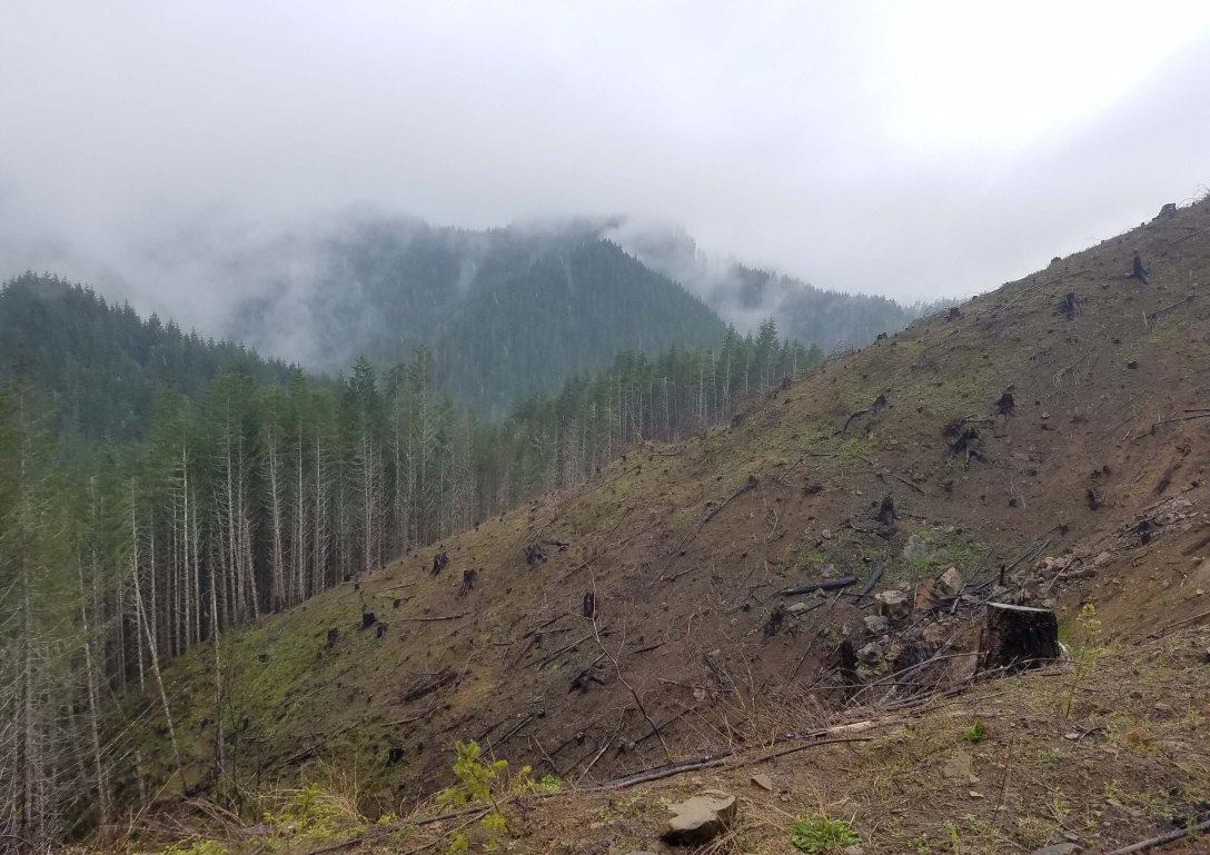 SF to Eugene (15 of 16)