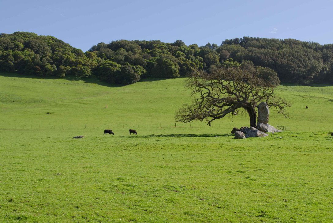 SF to Eugene (3 of 16)