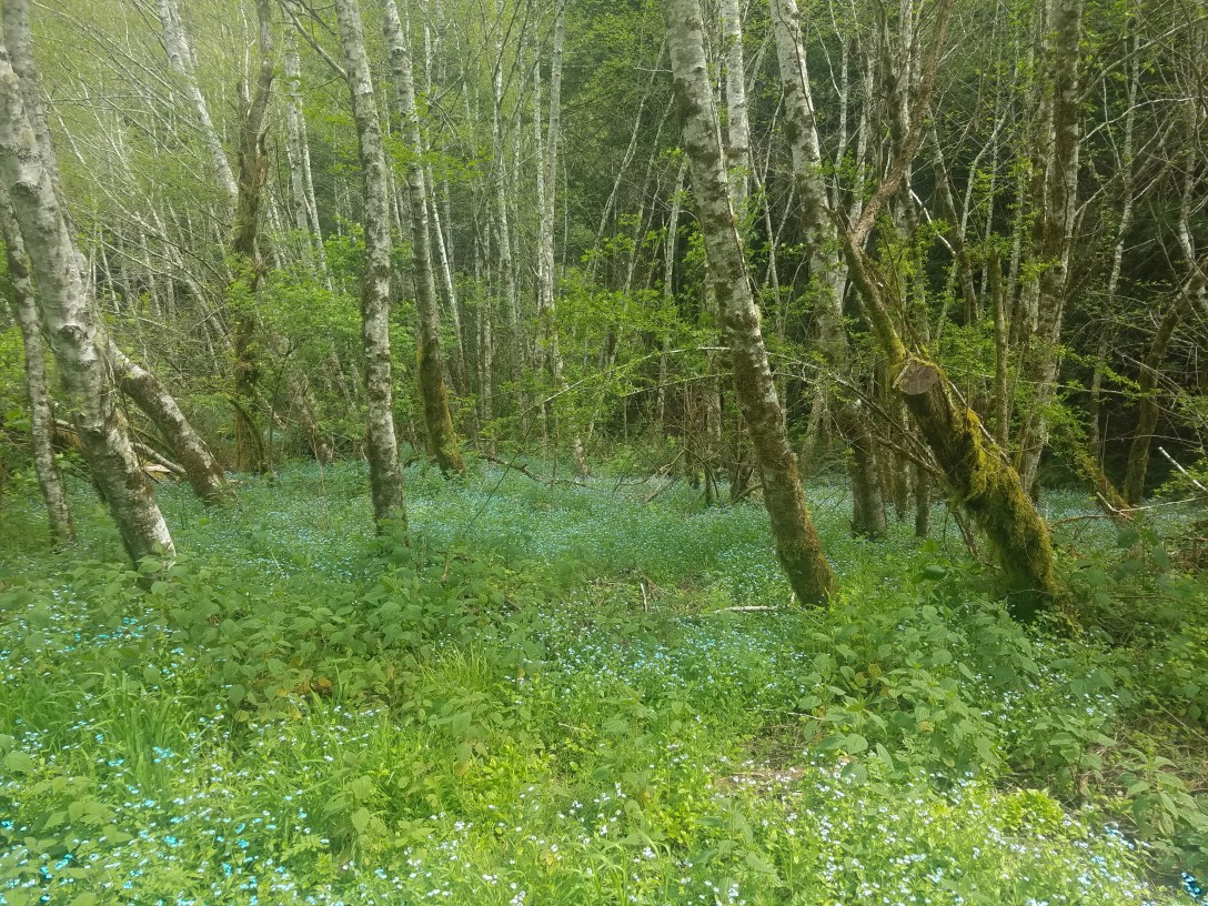 SF to Eugene (6 of 16)