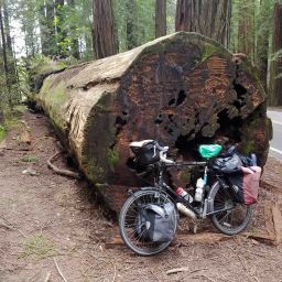 Heading Home: 15 Photos from the Coast Highway