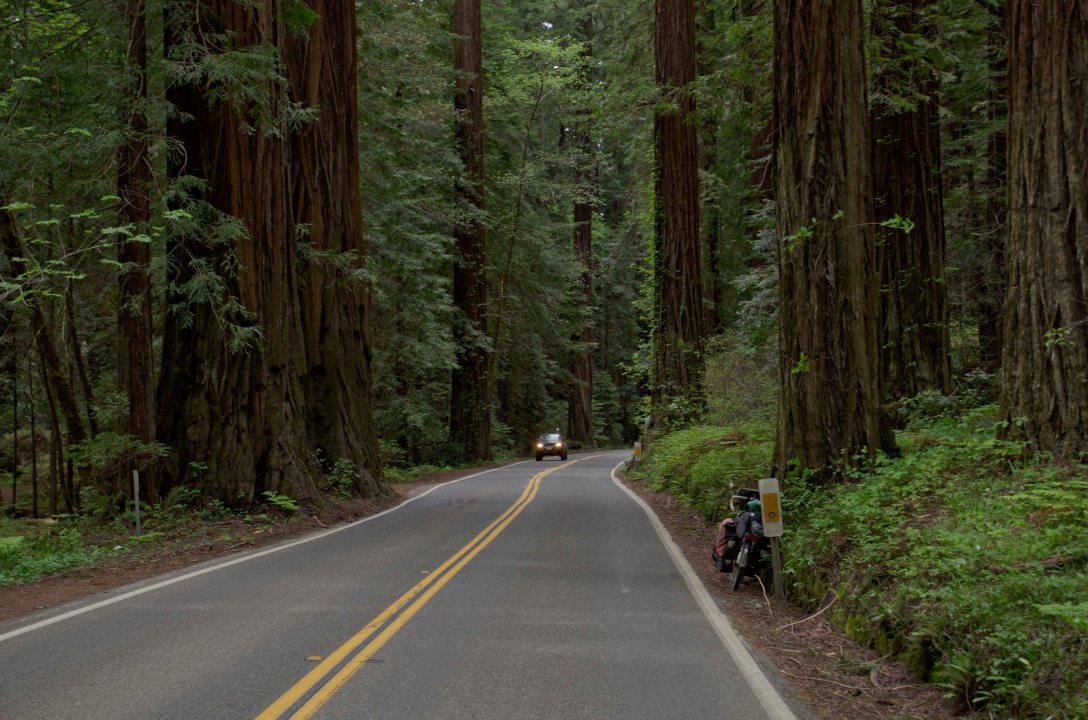 SF to Eugene (8 of 16)