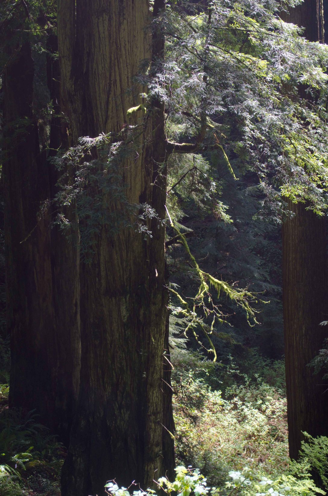 SF to Eugene (9 of 16)