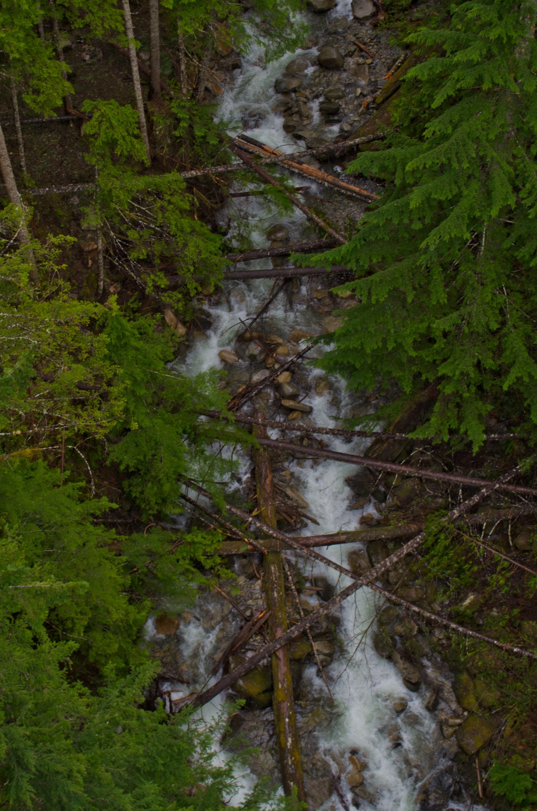 Eugene to Walla Walla (11 of 36)