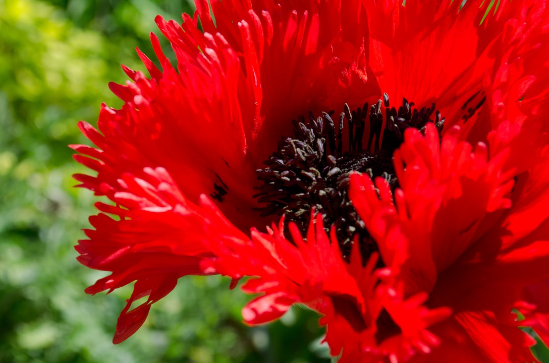 Eugene to Walla Walla (21 of 36)