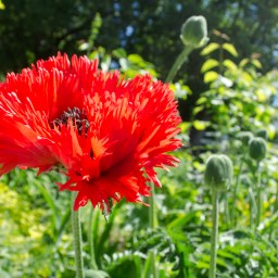 Halfway Around the World: 17 Photos from the Road