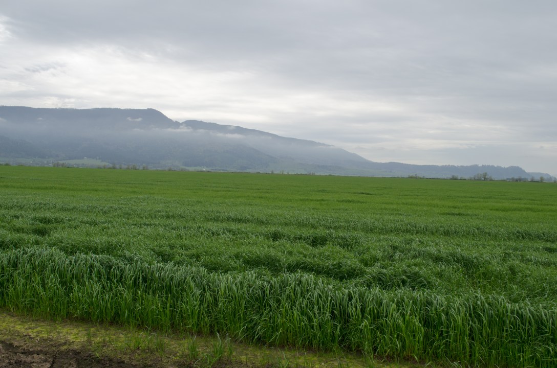 Eugene to Walla Walla (3 of 36)