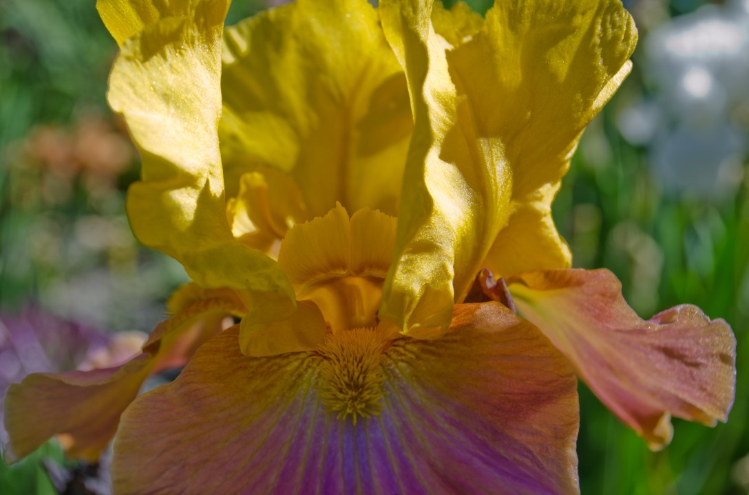 Eugene to Walla Walla (35 of 36)