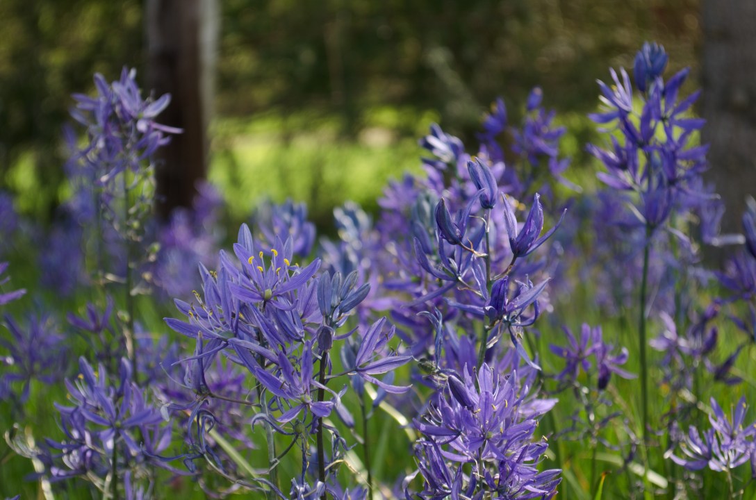Eugene to Walla Walla (6 of 36)