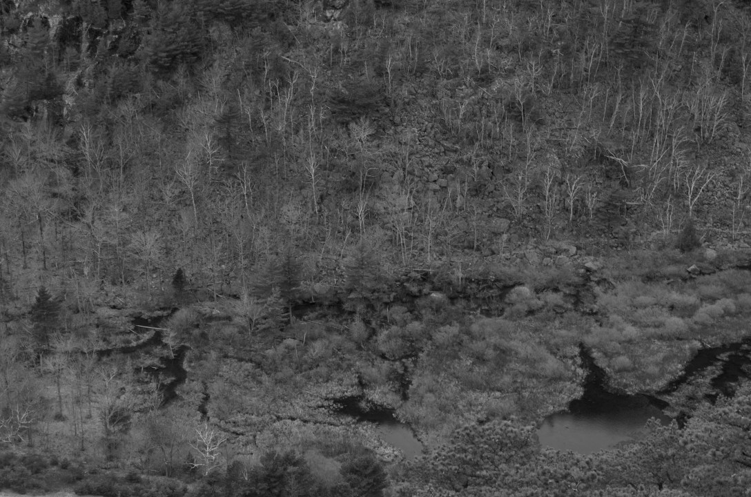 April Photos (17 of 21)