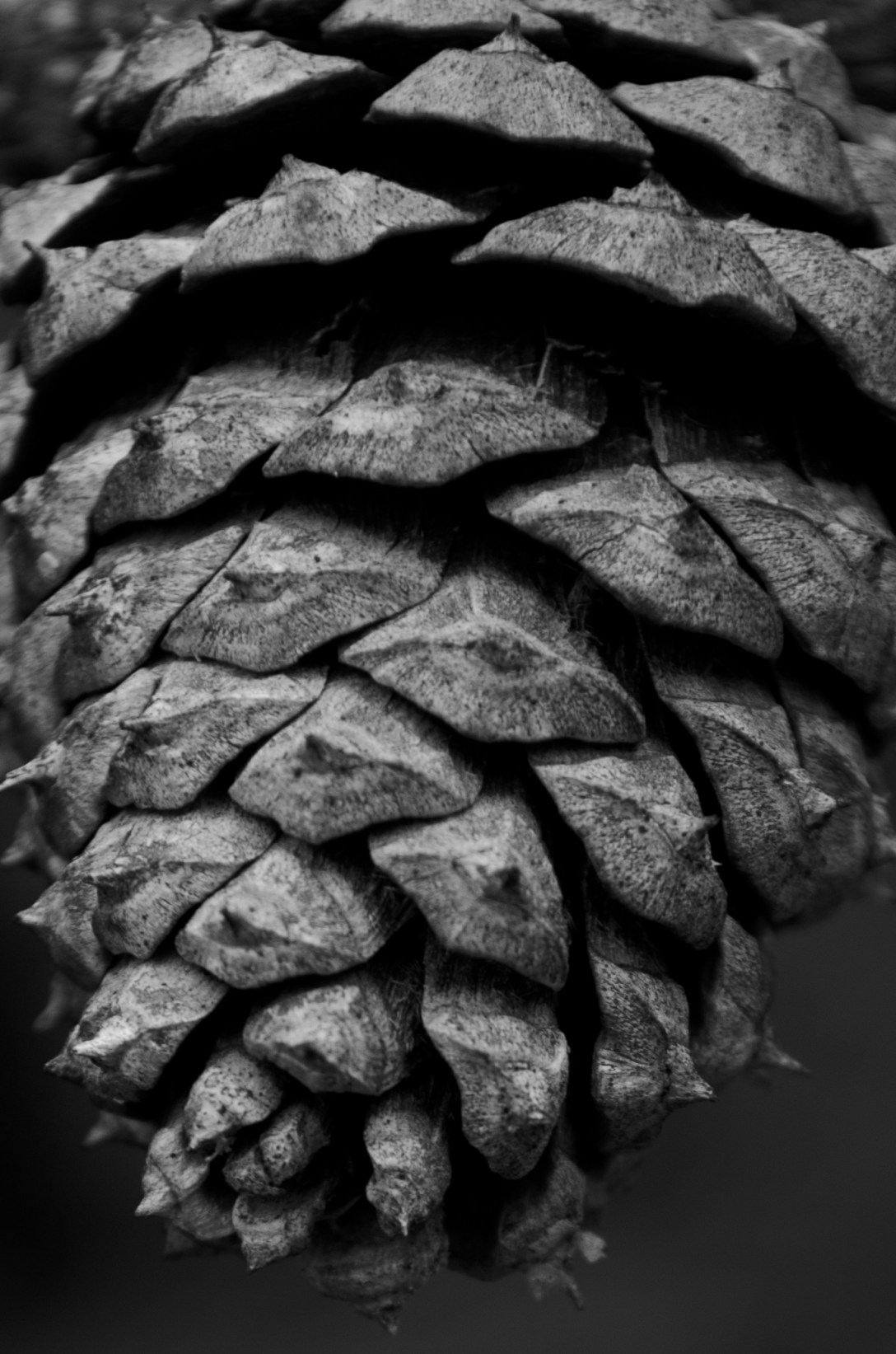 April Photos (9 of 21)