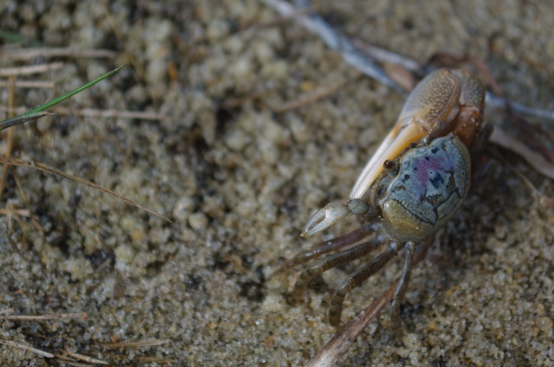 Summer Photos (2 of 10)